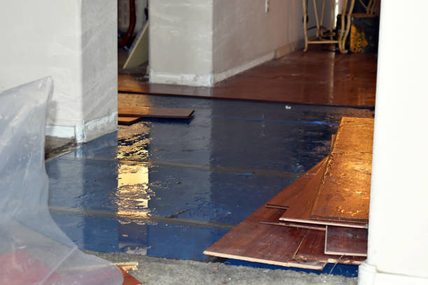 Professional Basement Flood Cleanup technician working in Davison, MI